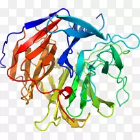 线点生物剪贴画线-空若网 线点生物剪贴画线-空若网
