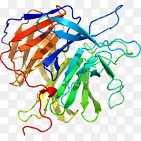 线点生物剪贴画线-空若网 线点生物剪贴画线-空若网