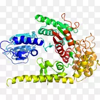 人体首饰有机体线剪贴画线-空若网 人体首饰有机体线剪贴画线-空若网