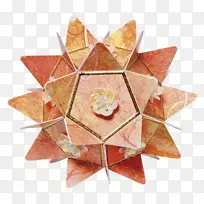 对称叶-空若网 对称叶-空若网