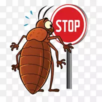 昆虫蟑螂床虫害虫-空若网 昆虫蟑螂床虫害虫-空若网