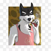 �������ǹ�ʿ������ý����������-������