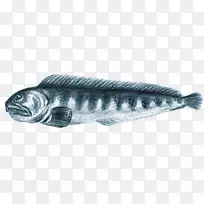 动物艺术作品-斯坦因-空若网 动物艺术作品-斯坦因-空若网