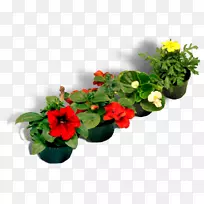 花卉设计花盆人工切花-矮牵牛-空若网 花卉设计花盆人工切花-矮牵牛-空若网