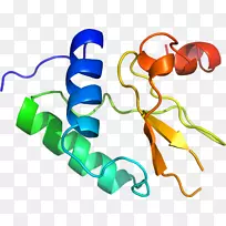 人体珠宝剪贴画.设计-空若网 人体珠宝剪贴画.设计-空若网