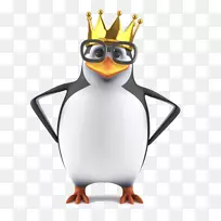 企鹅摄影手机免费电话卡通企鹅材料-空若网 企鹅摄影手机免费电话卡通企鹅材料-空若网