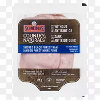 ����֬��-������