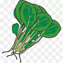 ���Ҷ�˲��˼�����-�߲ˣ�ˮ�����߲ˣ���ɫ��ˮ�����߲�-������