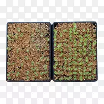 土壤-空若网 土壤-空若网