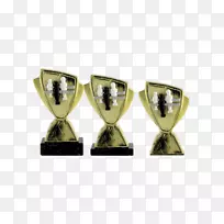 富博林珠宝杯奖杯-金属杯-空若网 富博林珠宝杯奖杯-金属杯-空若网