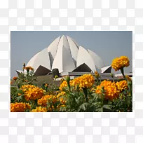 荷花寺大厦穆尔蒂牙科及种植诊所-莲花寺-空若网 荷花寺大厦穆尔蒂牙科及种植诊所-莲花寺-空若网