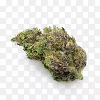 叶菜-空若网 叶菜-空若网