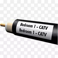 ����ѧ-������