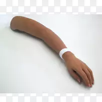 Ĵָ-������