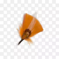 昆虫黄羽毛-空若网 昆虫黄羽毛-空若网