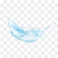 餐具花瓣壁纸-牛奶滴-空若网 餐具花瓣壁纸-牛奶滴-空若网