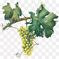 �մ���������ͨ���ѹ�ʵ-������