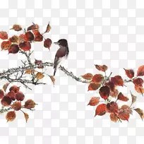 ֽ����֦��֦-������