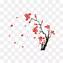 风花硅藻-空若网 风花硅藻-空若网