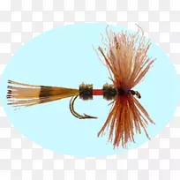 昆虫人工蝇系-空若网 昆虫人工蝇系-空若网