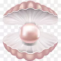 珍珠贝壳软体动物贝壳宝石-美丽的粉红色贝壳-空若网 珍珠贝壳软体动物贝壳宝石-美丽的粉红色贝壳-空若网