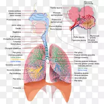 �������ϵͳ��������-������