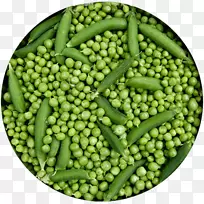 �㶹����ʳ���̶��������㶹-������