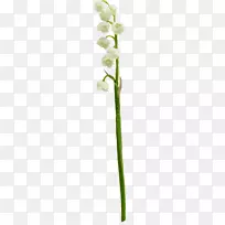 Çл¨£¬Ö²Îï¾¥£¬»¨Å裬С֦£¬¿ª»¨Ö²Îï-»¨»ÜË®²Ê»£¬»¨»Ü´´Òâ-¿ÕÈôÍø Çл¨£¬Ö²Îï¾¥£¬»¨Å裬С֦£¬¿ª»¨Ö²Îï-»¨»ÜË®²Ê»£¬»¨»Ü´´Òâ-¿ÕÈôÍø