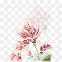 iphone 6 iphone 7�������ˮ�ʻ�-ˮ�ʻ�����-������