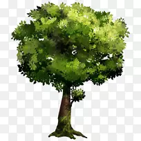 ????????1?Naver博客影院-空若网 ????????1?Naver博客影院-空若网