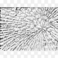 ����-ʵ�����������Ч��-������