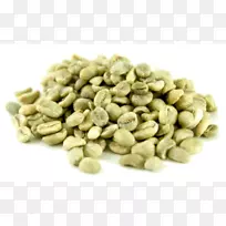 �̿��Ȱ��������������俧��Ũ������-������