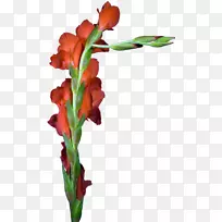 �������л��������ֲ�ﾥ������-������