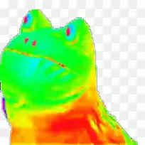 青蛙两栖动物YouTube-青蛙-空若网 青蛙两栖动物YouTube-青蛙-空若网