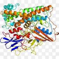 人体首饰有机体线剪贴画线-空若网 人体首饰有机体线剪贴画线-空若网