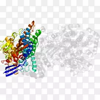 图形设计树字体树-空若网 图形设计树字体树-空若网
