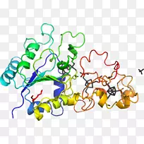 �ߵ�����������-������