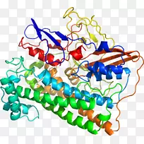 人体首饰有机体线剪贴画线-空若网 人体首饰有机体线剪贴画线-空若网