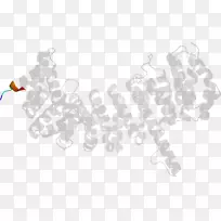 ��-��-������