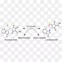 纸设计-空若网 纸设计-空若网
