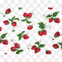 ��ݮ�����Ӻ��ݮ-������