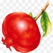 水果石榴夹艺术石榴-空若网 水果石榴夹艺术石榴-空若网