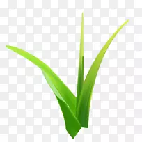 ����googleͼƬ��ֽ-�޻���ϸ��-������