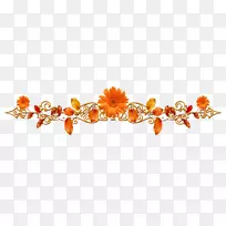 秋季博客-圣徒交流-空若网 秋季博客-圣徒交流-空若网