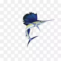 昆虫翅羽喙传粉者-空若网 昆虫翅羽喙传粉者-空若网