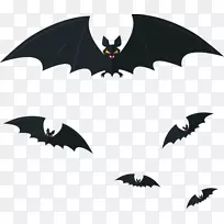 Bat adobe插画.BAT插图-空若网 Bat adobe插画.BAT插图-空若网