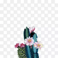 ����������ز�ͼ.װ��ֲ��-������