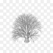 ����-��-������