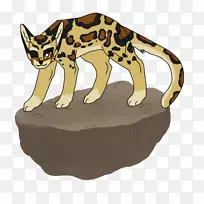 �����è���Ӽ�����è-������