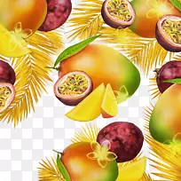 ��֭��������ͼ.â��ʯ��ͼ��-������